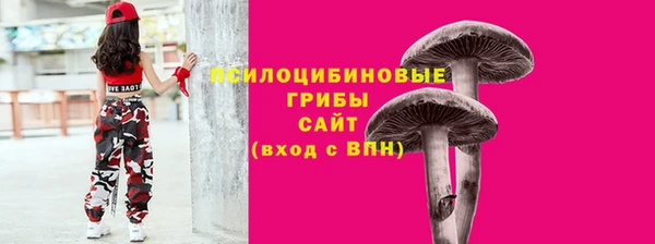 спайс Корсаков