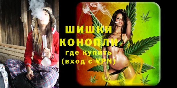 спайс Корсаков