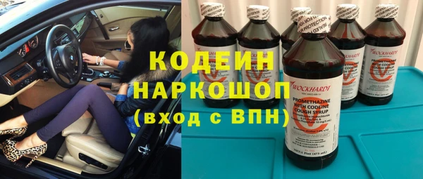 спайс Корсаков