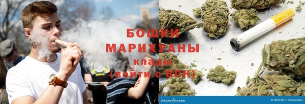 спайс Корсаков