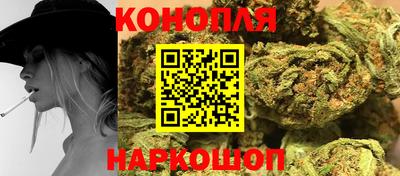 альфа пвп Волгодонск