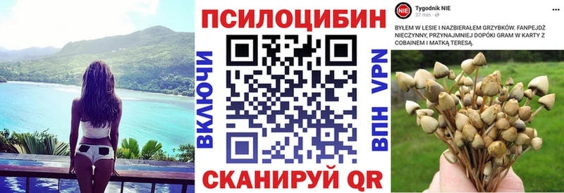 Галлюциногенные грибы мухоморы  Казань 