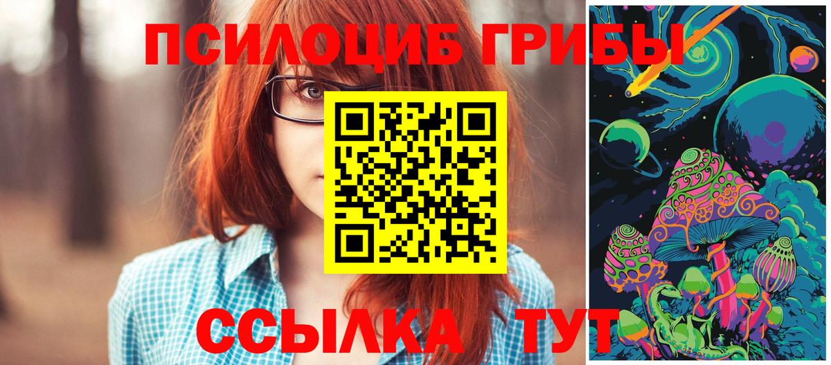 Казань  Псилоцибиновые грибы Cubensis  Вход с VPN 